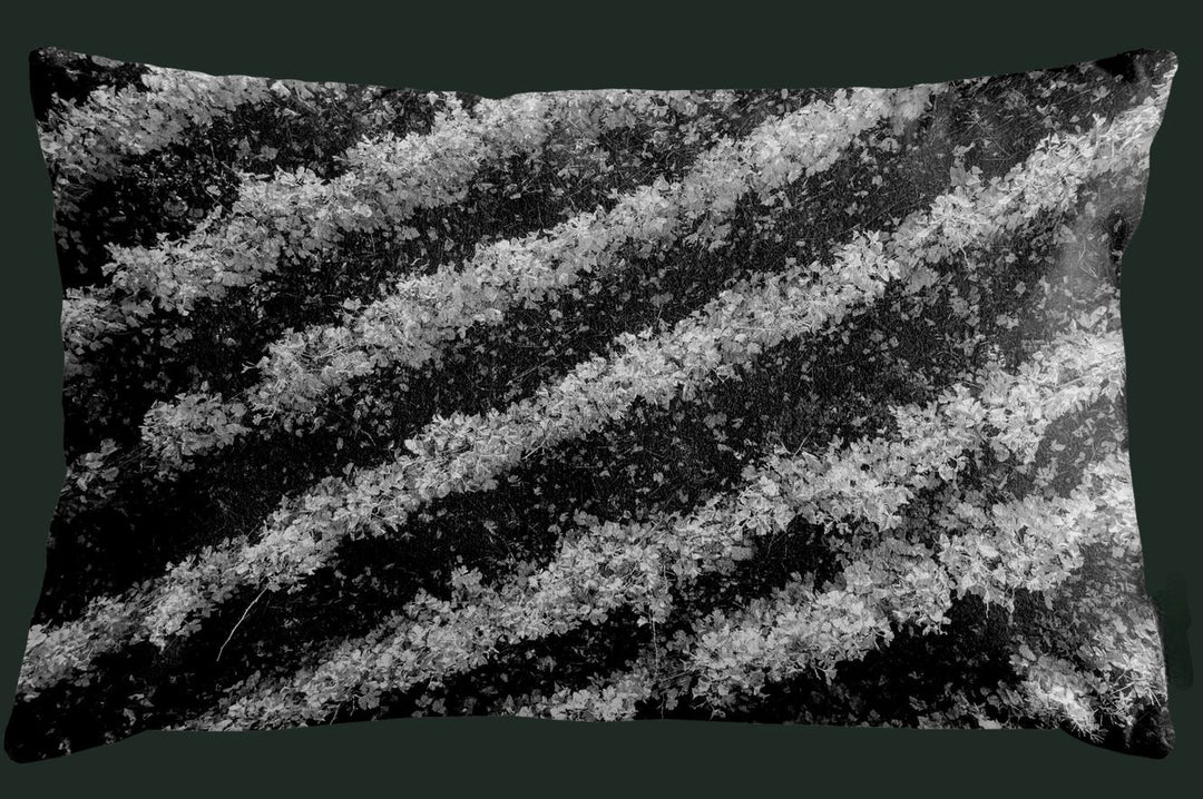 Housse de coussin décoratif pour l'intérieur "Vignes du Valais Suisse" (30x50cm) N&B)