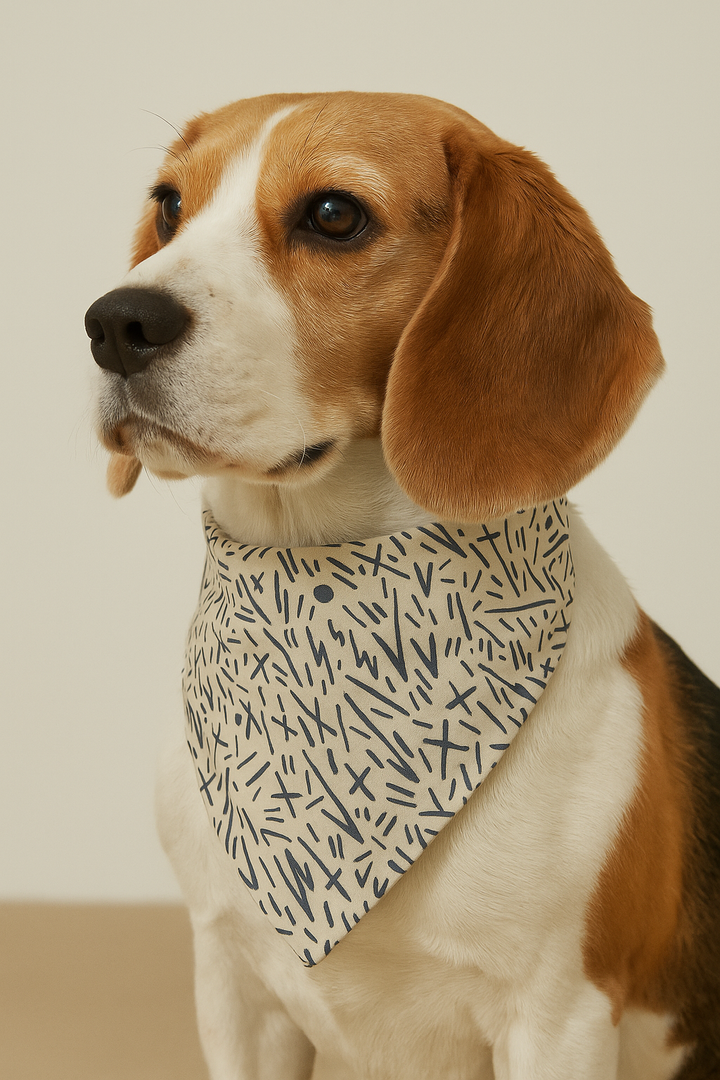 Bandana pour chien – Maison DZON × Willis × Geste Libre