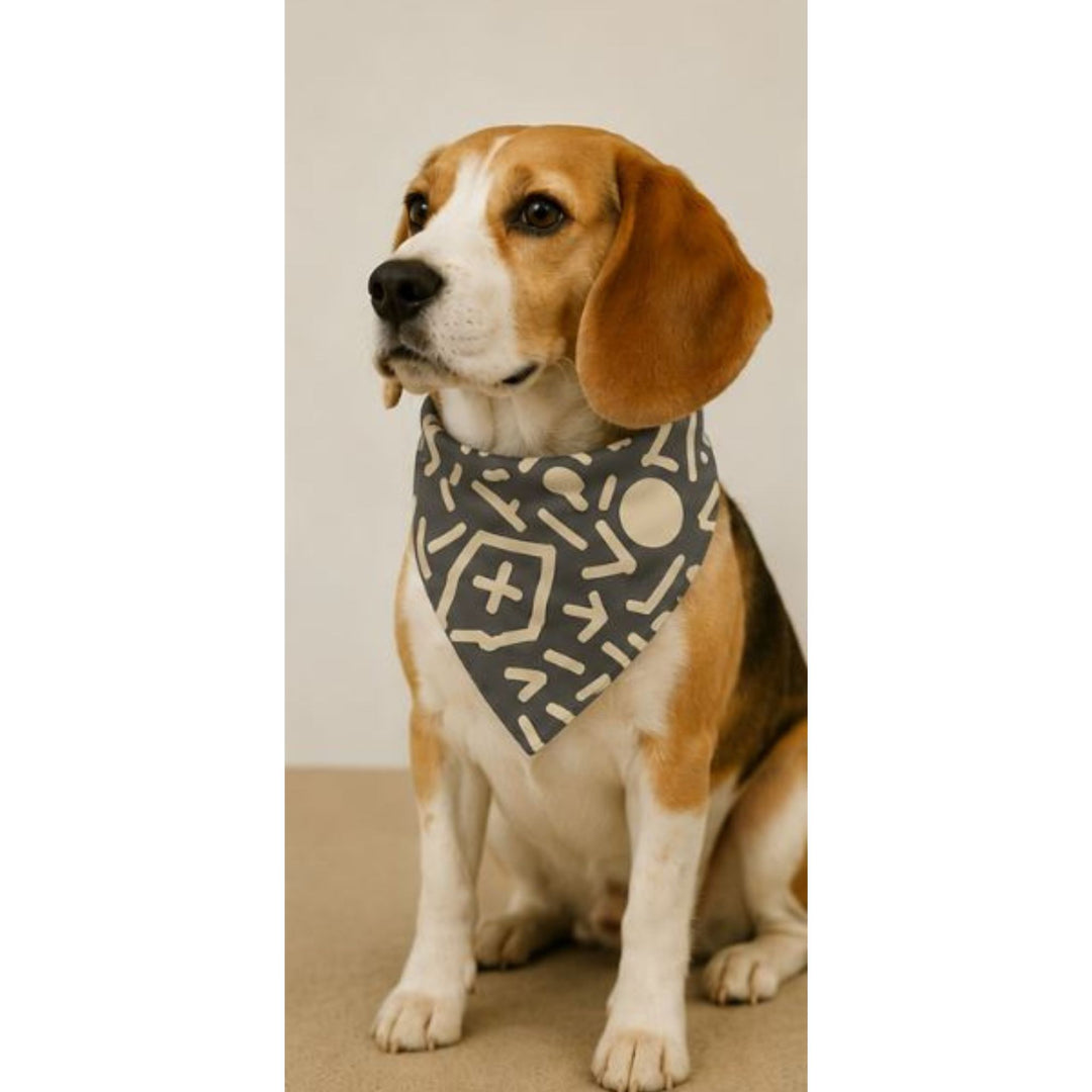 Bandana pour chien – Maison DZON × Willis × Geste Libre