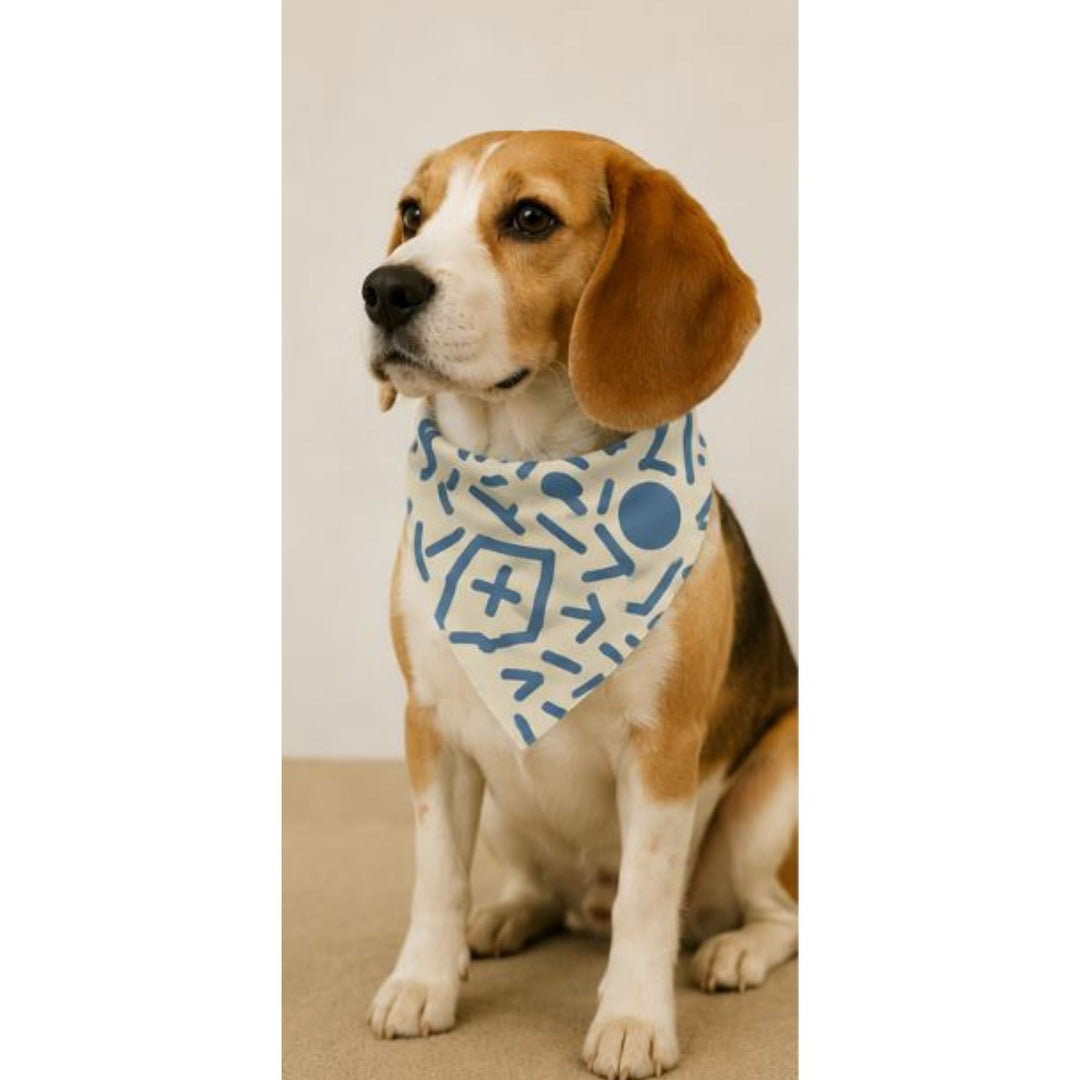 Bandana pour chien – Maison DZON × Willis × Geste Libre