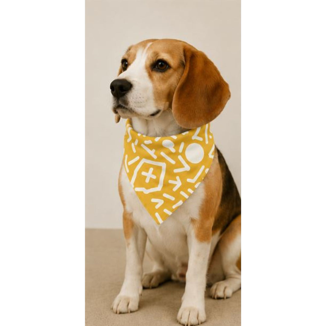 Bandana pour chien – Maison DZON × Willis × Geste Libre