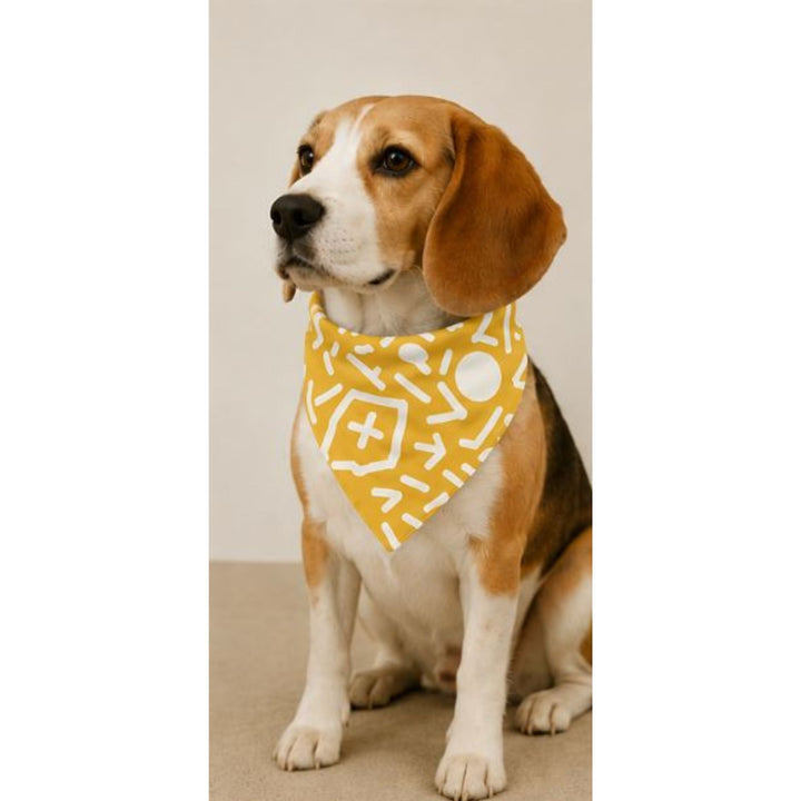 Bandana pour chien – Maison DZON × Willis × Geste Libre
