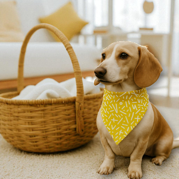 Bandana pour chien – Maison DZON × Willis × Geste Libre