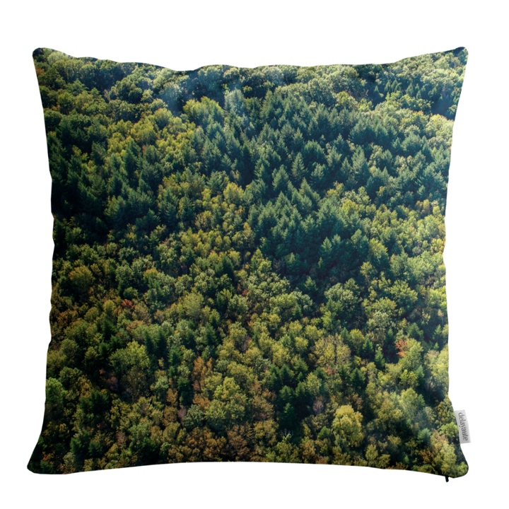 Housse de coussin – Forêt du Chablais Couleur – KaraDrone