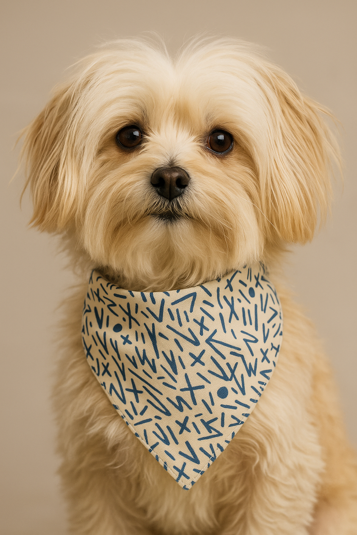 Bandana pour chien – Maison DZON × Willis × Geste Libre