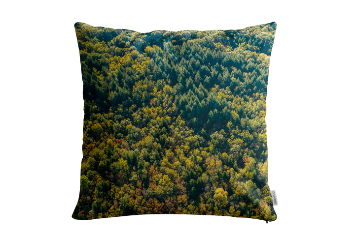 Housse de coussin décoratif pour l'intérieur "Forêt du Chablais" (45x45cm couleur)