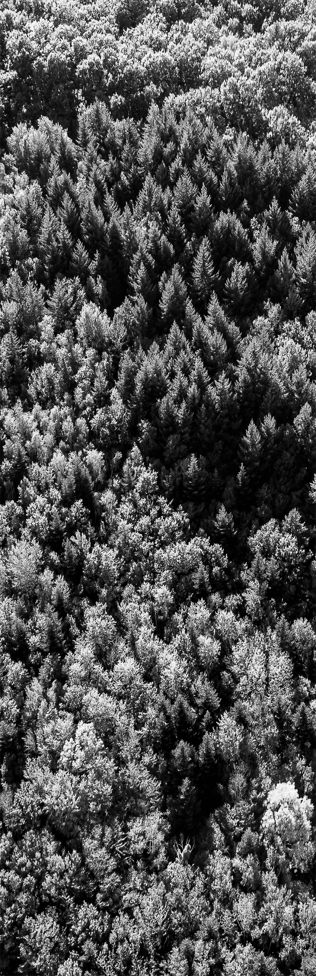 Toile de rechange chilienne / transat – Collection Altitude