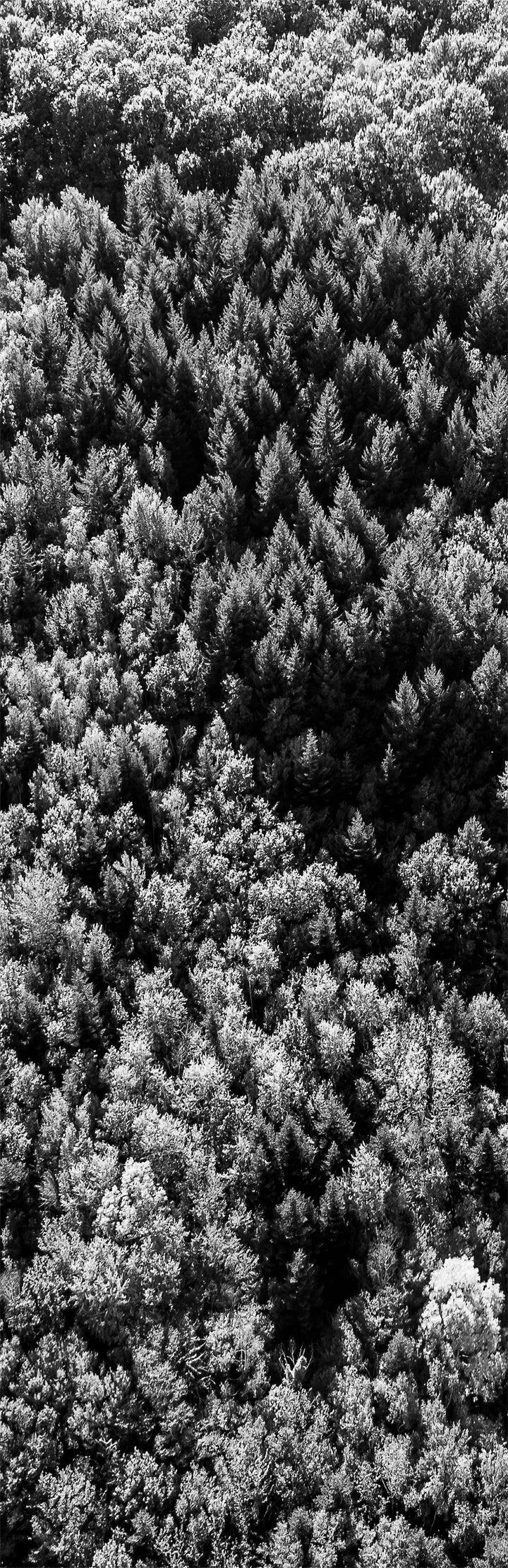 Toile de rechange chilienne / transat – Collection Altitude