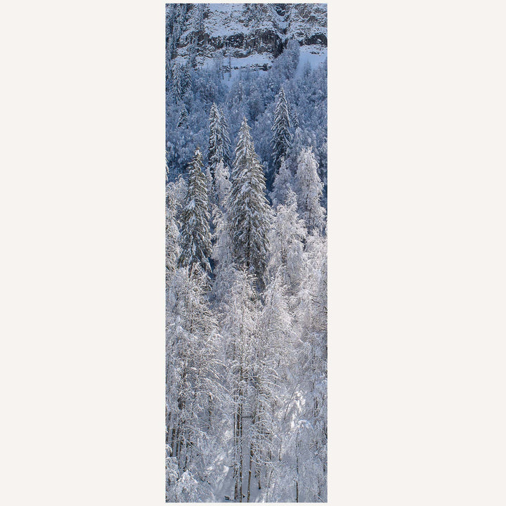 Toile de rechange chilienne / transat – Collection Altitude